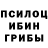 Псилоцибиновые грибы GOLDEN TEACHER Militina