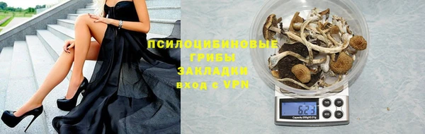 кокс Алексин