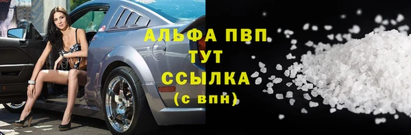 сатива Горнозаводск