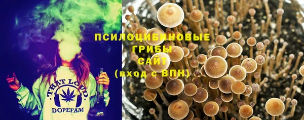 кокс Алексин